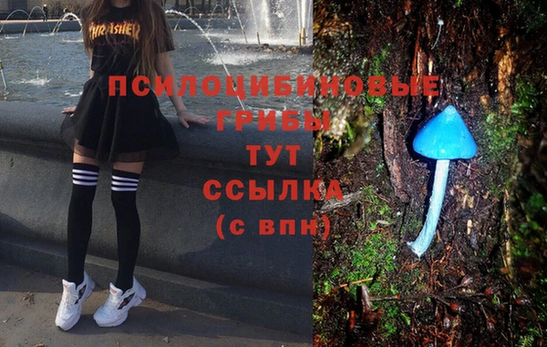 трава Богданович