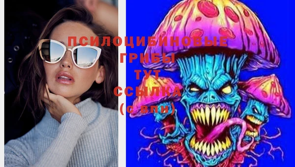 синтетический гашиш Богородицк