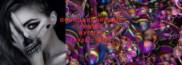синтетический гашиш Богородицк
