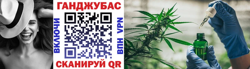 Шишки марихуана семена  Северская 